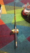 Canna pesca mare usato  Casale Monferrato