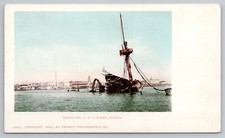 Early 1900s havana for sale  Kennebunk