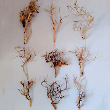 Mini driftwood aquarium for sale  Shipping to Ireland