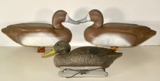 foam duck decoys for sale foam duck decoys for sale Wilmington