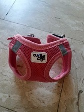 Curli hundegeschirr xxs gebraucht kaufen  Jockgrim