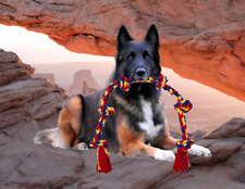 Giant dog rope for sale  Las Vegas