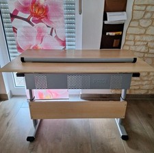 Paidi schüler schreibtisch gebraucht kaufen  Urbach