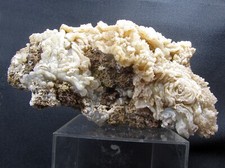 W14 super chalcedon gebraucht kaufen  Dinslaken