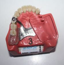 Dent schaumodell 3 gebraucht kaufen  Ransbach-Baumbach
