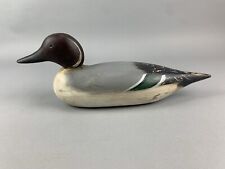 Mason pintail drake for sale  Benzonia