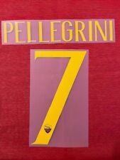 Kit pellegrini giallo usato  Vanzaghello