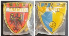 Gagliardetto vintage trento usato  Capannori