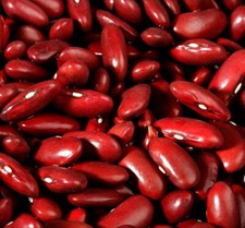 Dark red kidney for sale  Deltona
