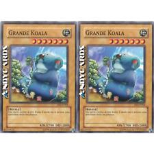 Grande koala comune usato  Ravenna