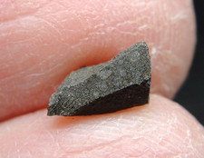 Nwa 15937 carbonaceous for sale  Hebron