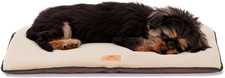 Cuccia cane cuscino usato  Roma