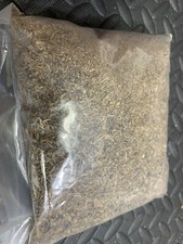 Dried bloodworm aquarium for sale  SCARBOROUGH
