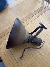 Vintage old spot for sale  MANNINGTREE