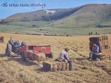 White horse westbury for sale  DUNDEE