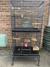 Rat ferret chinchilla for sale  GRANTHAM
