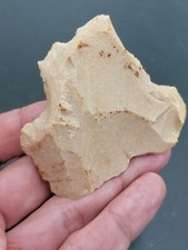 Neanderthal middle paleolithic d'occasion  Bonneville
