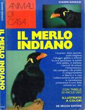 Merlo indiano. ravazzi usato  Italia