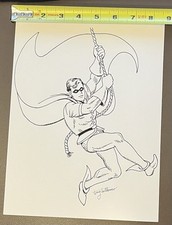 Robin coloring activity for sale  Chatham
