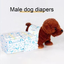 Disposable male dog for sale  UK