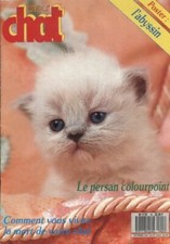 Atout chat persan d'occasion  Hennebont