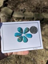 Turquoise cabochons teardrops for sale  Schaumburg
