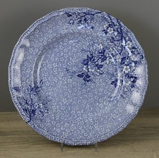 Wedgwood monique blau gebraucht kaufen  Kappel-Grafenhausen