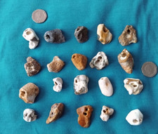 Twenty mini natural for sale  GOSPORT