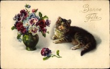 Glückwunsch getigerte katze gebraucht kaufen  Berlin