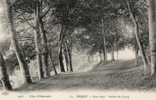 Cpa erquy bois d'occasion  Saint-Amans-Soult