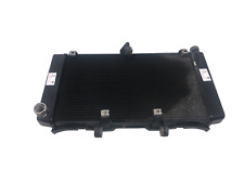 Radiatore acqua honda usato  Italia