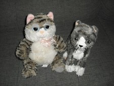 Kuschelige katzen groß gebraucht kaufen  Hamburg