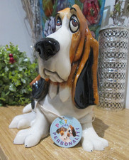 Arora pets personality for sale  ARBROATH