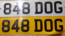 848 dog private for sale  SLEAFORD