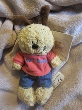 Hip hop teddy for sale  LEICESTER