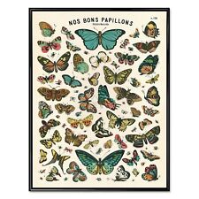 Vintage butterfly chart for sale  San Diego