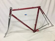Colnago regal arabesque usato  Italia