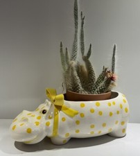 Vintage yellow polka for sale  Bensalem