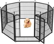 Fxw rollick dog for sale  Trenton