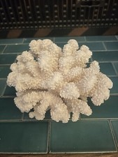 Large dry white for sale  Clinton