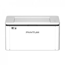 Stampante pantum laser usato  Italia