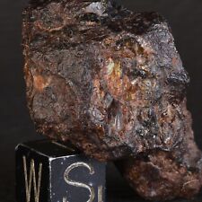 Nwa 15738 29.30g d'occasion  Expédié en Belgium