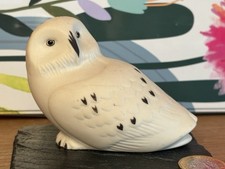 Vnt porcelain handpainted for sale  NEWPORT