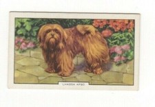 Dog cigarette card d'occasion  Expédié en Belgium