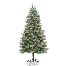 National tree company for sale  Nicholasville