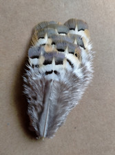 Fly tying native for sale  UK