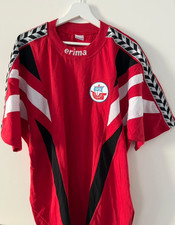 Hansa rostock trainingsshirt gebraucht kaufen  Kirchhain