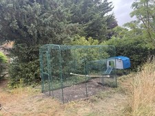 Omlet eglu cube for sale  WALLINGFORD