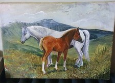 Oil canvas horses for sale  COLWYN BAY