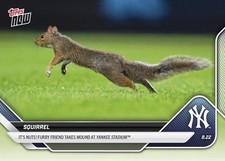2025 mlb topps for sale  Saint Louis